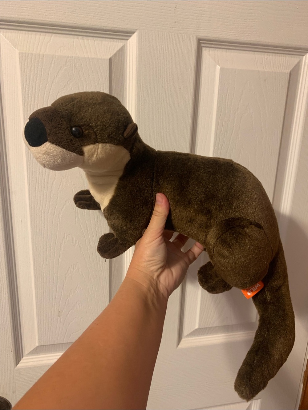 Soft Stuffed Animal